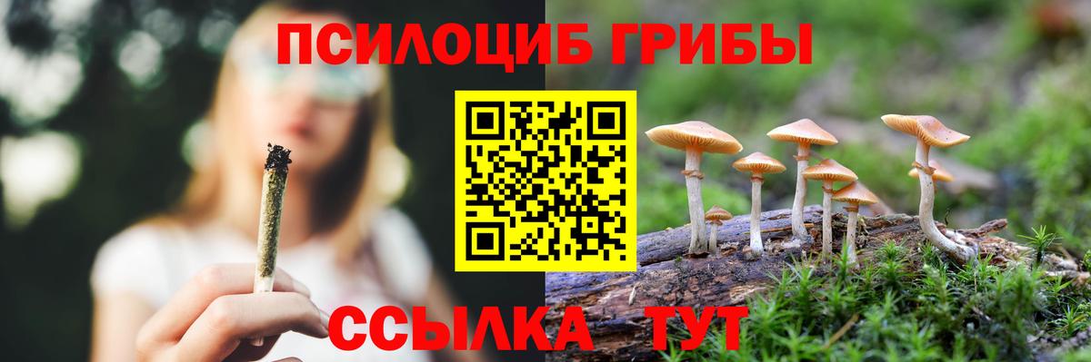 Пушкино  Псилоцибиновые грибы Cubensis  сколько стоит  Вход с VPN 