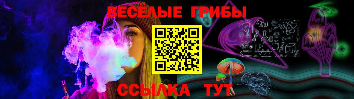 Галлюциногенные грибы GOLDEN TEACHER Пушкино